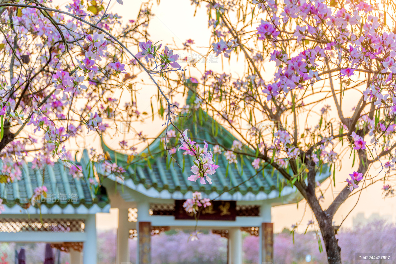 海珠濕地公園