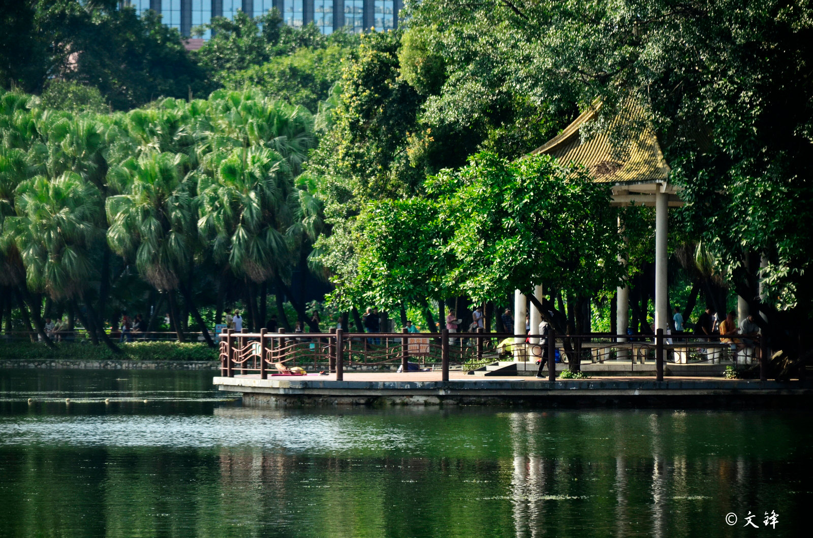 流花湖公園