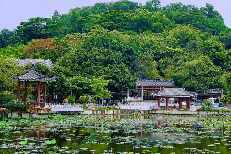 深井古村