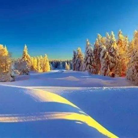 【冬舞雪鄉】徒步穿越林海、冰雪哈爾濱、醉美雪鄉、霧凇奇觀、伏爾加莊園旅拍6日游長城進哈爾濱出、不回頭路