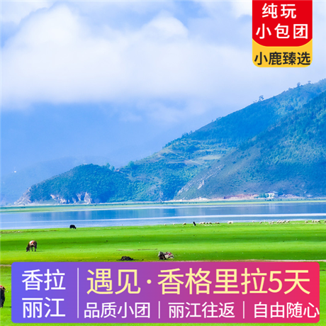 遇見香格里拉 | 麗江香格里拉純玩5天雪山大索、普達措森林公園、虎跳峽、漫步古鎮，美景從來不將就