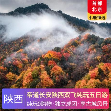 帝道長安陜西雙飛純玩五日游當(dāng)?shù)厮男蔷频曜∷蓿靼采壆?dāng)?shù)匚逍? title=