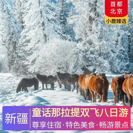 童話那拉提雙飛八日游四星精品酒店+特別升級(jí)2晚五星酒店，為生日游客安排旅途生日會(huì)