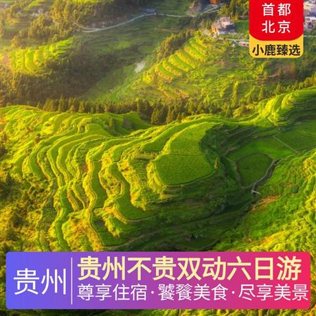 貴州不貴雙動六日游全程4晚當地準五超豪華酒店，特別安排西江景區內特色客棧