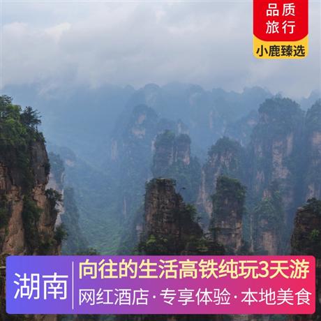 向往的生活高鐵純玩3天游安排入住一晚森林覆蓋率達(dá) 99％的五星級酒店—莽山森林溫泉酒店