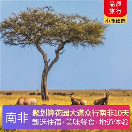聚劃算花園大道眾行南非10天升級(jí)【花園大道 4 星】2 晚，【太陽(yáng)城 4 星】1 晚，【開普敦 4 星】3 晚