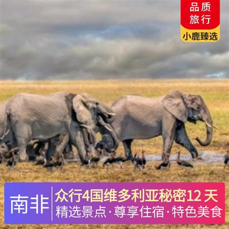 眾行4國維多利亞秘密12 天全程當地 4 星酒店+1 晚非洲特色茅草屋，升級一晚絕美葡萄園區酒店