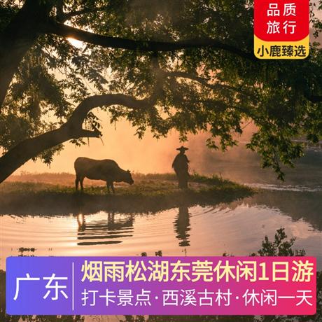 煙雨松湖東莞休閑1日游打卡國家4A景區(qū)、東莞新八景”之首-松湖煙雨