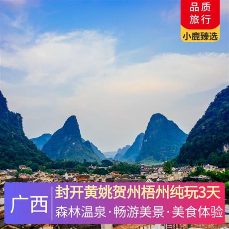 封開黃姚賀州梧州純玩3天西江第一樓-廣信塔、堪稱世界第八大奇跡--騎樓博物城